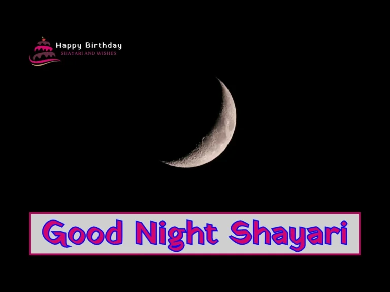 beautiful good night shayari