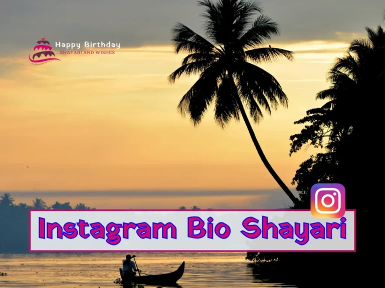 instagram bio shayari in english and hindi