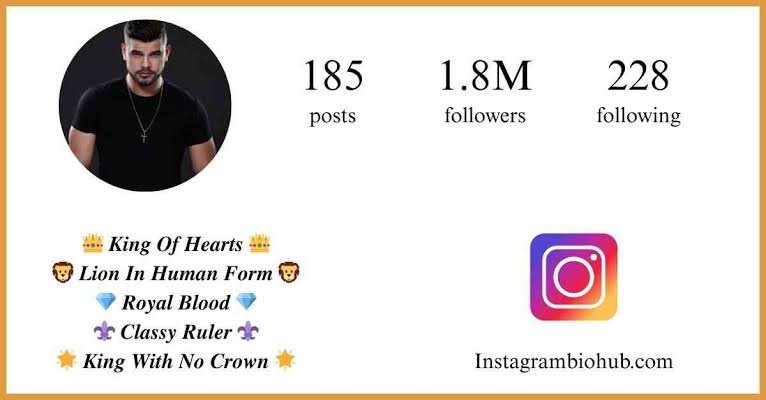 instagrambiostatus